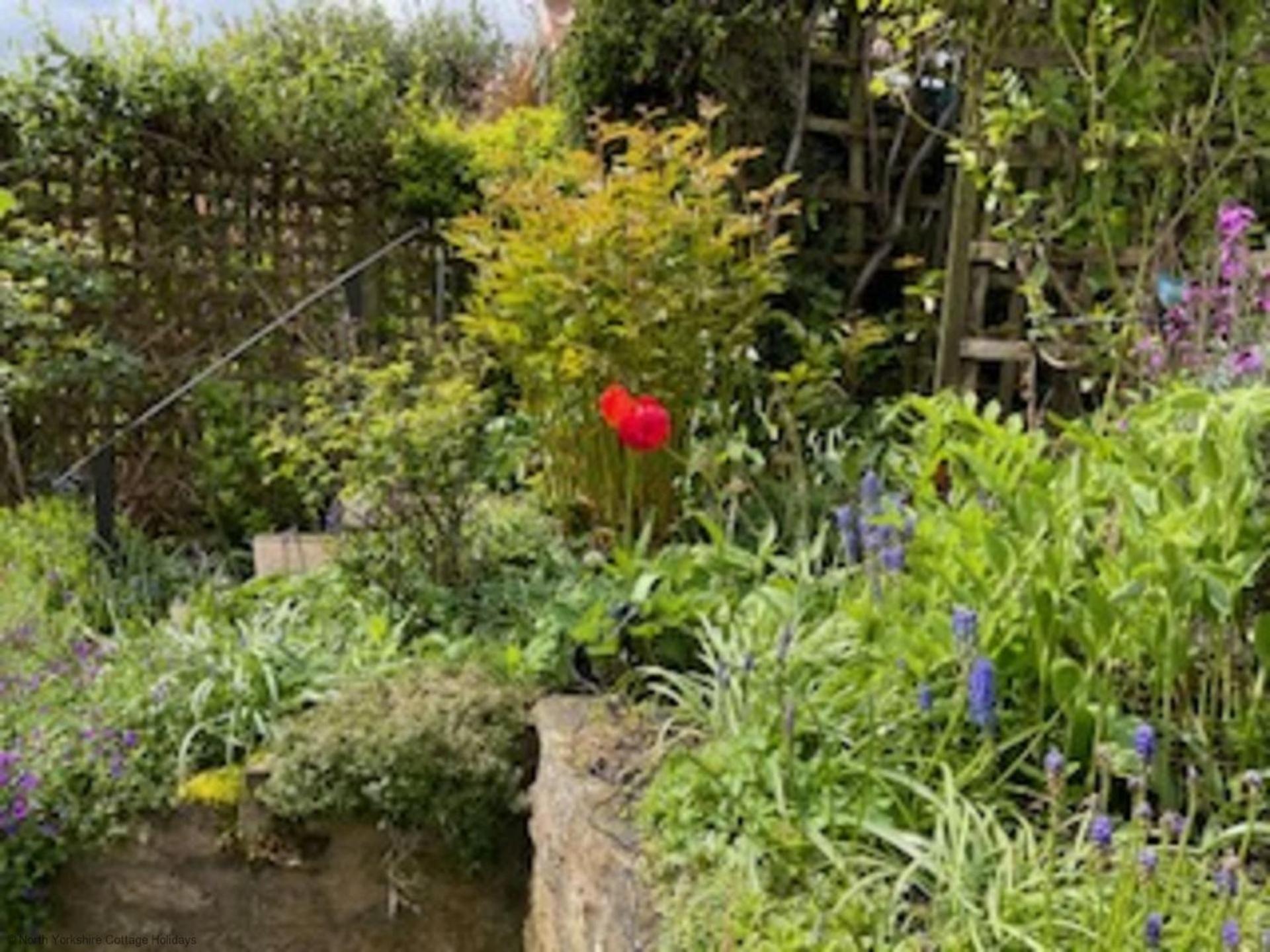 Picturesque Stone Cottage In The Heart Of North Yorkshire Village - Hideaway Cottage Eksteriør billede